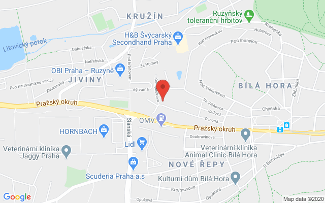 Google map: Ovocná 34/1021 161 00 Praha 6 Česká republika